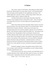 Pobūvių rūšys ir etiketas 16 puslapis