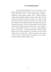 Pobūvių rūšys ir etiketas 6 puslapis