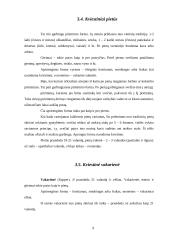 Pobūvių rūšys ir etiketas 9 puslapis