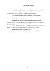 Pobūvių rūšys ir etiketas 10 puslapis