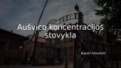 Aušvico koncentracijos stovykla