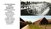 Aušvico koncentracijos stovykla 2 puslapis