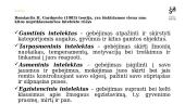 Intelektas - kas tai? 4 puslapis