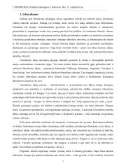 Politinės ideologijos ir doktrinos