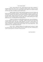 Turto ir laimės santykis