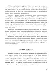 Parlamentinė, prezidentinė ir pusiau prezidentinė sistemos 4 puslapis
