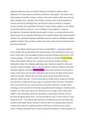 Kas padeda žmogui morališkai nepalūžti? (Sruoga, Šatrijos Ragana, Tumas-Vaižgantas) 2 puslapis