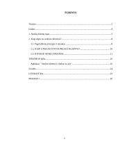 Sunkūs klientai, darbas su jais 2 puslapis