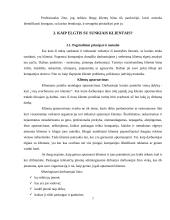 Sunkūs klientai, darbas su jais 7 puslapis