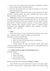 Prekės analizė pagal 4P modelį: "Yamaha" muzikos instrumentai 14 puslapis