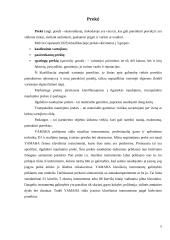 Prekės analizė pagal 4P modelį: "Yamaha" muzikos instrumentai 5 puslapis