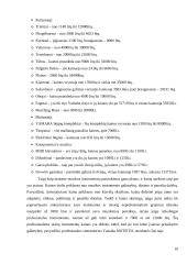 Prekės analizė pagal 4P modelį: "Yamaha" muzikos instrumentai 10 puslapis