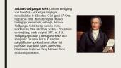 Johanas Volfgangas Gėtė (Johann Wolfgang Goethe) 2 puslapis