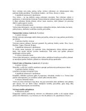 Prekės ženklo įvaizdžio kūrimas 11 puslapis