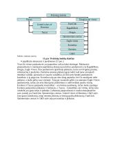 Prekės ženklo įvaizdžio kūrimas 13 puslapis
