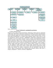 Prekės ženklo įvaizdžio kūrimas 14 puslapis