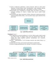 Prekės ženklo įvaizdžio kūrimas 2 puslapis