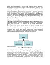 Prekės ženklo įvaizdžio kūrimas 5 puslapis