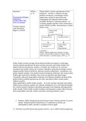 Prekės ženklo įvaizdžio kūrimo projektas 3 puslapis