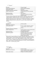 Prekės ženklo įvaizdžio kūrimo projektas 6 puslapis