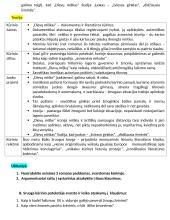 Balys Sruoga. Memuarinis romanas ,,Dievų miškas“ bei jo kontekstai 3 puslapis