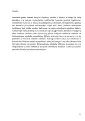 Vėžiagyvių regėjimas pritaikytas namų šildymo technologijoje 10 puslapis