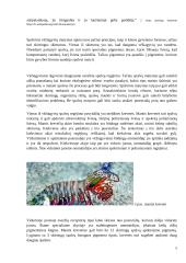 Vėžiagyvių regėjimas pritaikytas namų šildymo technologijoje 4 puslapis