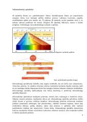 Vėžiagyvių regėjimas pritaikytas namų šildymo technologijoje 7 puslapis