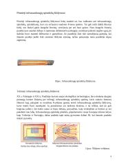 Vėžiagyvių regėjimas pritaikytas namų šildymo technologijoje 8 puslapis