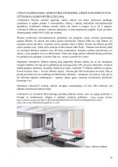 Vėžiagyvių regėjimas pritaikytas namų šildymo technologijoje 9 puslapis