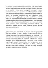 Motinos meilės svarba lietuvių literatūroje (Šatrijos Ragana, Grušas) 3 puslapis
