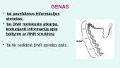 Genas. Genetinis kodas 2 puslapis