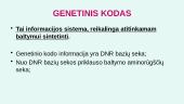 Genas. Genetinis kodas 4 puslapis