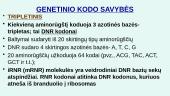 Genas. Genetinis kodas 5 puslapis