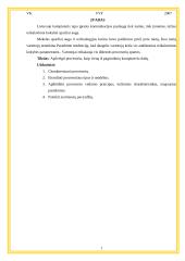 Procesorius - viena iš pagrindinių kompiuterio dalių 2 puslapis