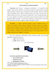 Procesorius - viena iš pagrindinių kompiuterio dalių 3 puslapis