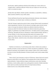 Produkto darymas įmonėje: laikrodžių gamyba ir platinimas UAB "Koliz Vostok" 11 puslapis