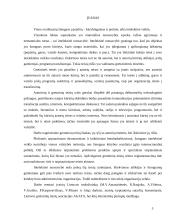 Gretutinių teisių samprata ir rūšys 3 puslapis