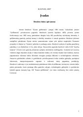 Profesinė sauga: AB "Kauno gelžbetonis" 2 puslapis