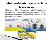 Klaipėdos jūrų uosto pritaikymas logistikos procesams 20 puslapis