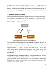Garantijų vaidmuo tarptautiniuose atsiskaitymuose 11 puslapis