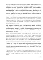 Garantijų vaidmuo tarptautiniuose atsiskaitymuose 14 puslapis