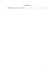 Garantijų vaidmuo tarptautiniuose atsiskaitymuose 2 puslapis