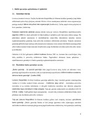 Garantijų vaidmuo tarptautiniuose atsiskaitymuose 5 puslapis