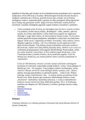 Vokietija ir viskas apie ją 4 puslapis