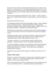 Vokietija ir viskas apie ją 5 puslapis