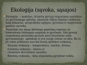 Ekologija. Klimato kaita 2 puslapis