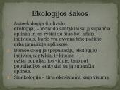 Ekologija. Klimato kaita 3 puslapis