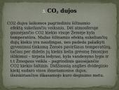 Ekologija. Klimato kaita 9 puslapis