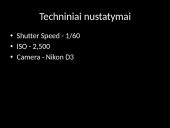 Fotografų pristatymai 14 puslapis